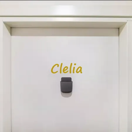 Vatican Deluxe - Con Bagno Privato - Vaticano A Piedi 4* Roma